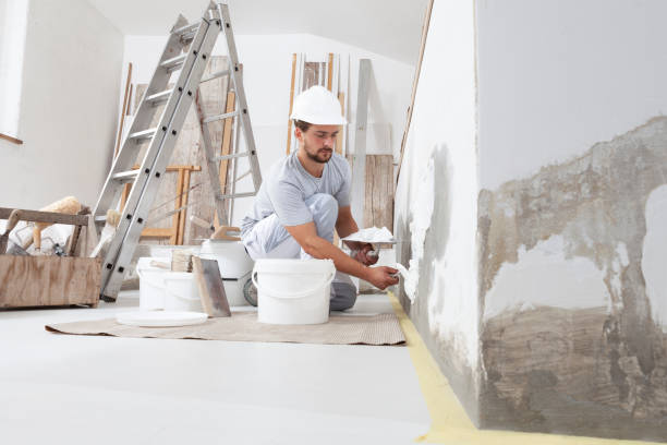 Best Mold Damage Restoration  in Newport News, VA
